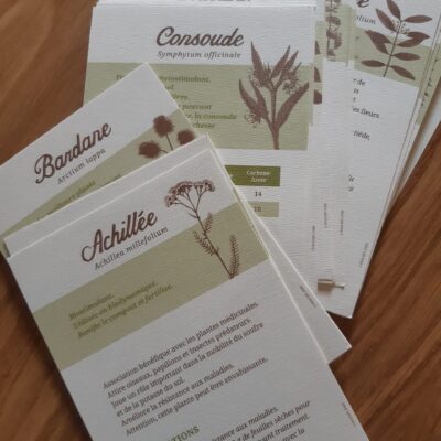 livre recettes pour infusions décotions pour les plantes