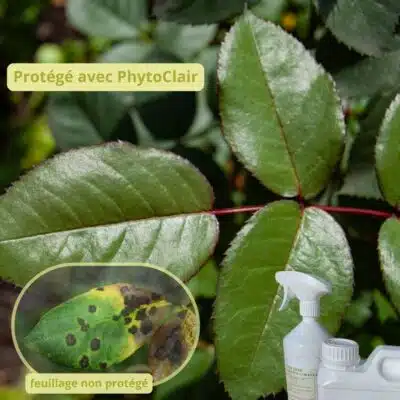 contre les maladies cryptogamiques : marsoniana, oïdium...