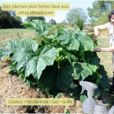 Des plantes plus fortes face aux aléas climatiques