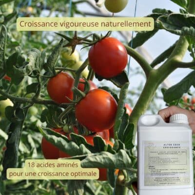 Alter Eden engrais Croissance