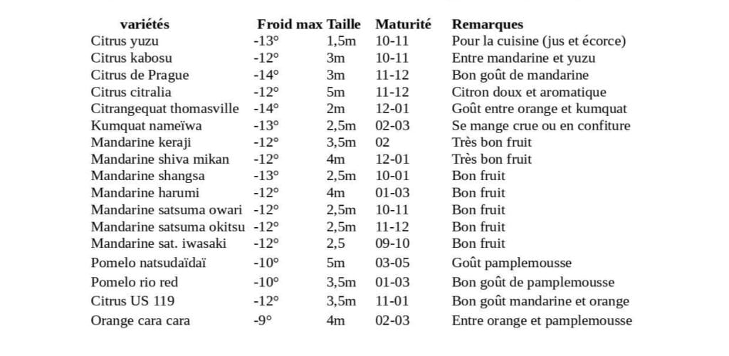 tableau agrumes