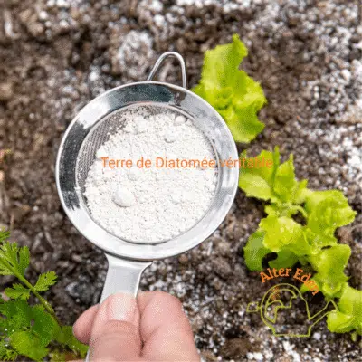 Terre de diatomée véritable - Alter Eden