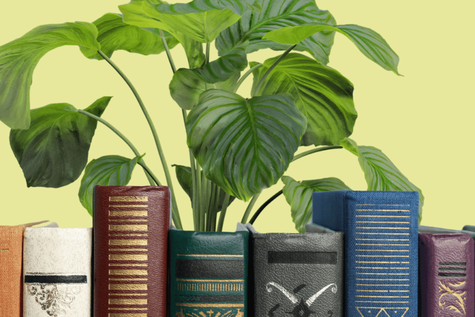 bibliographie Alter Eden