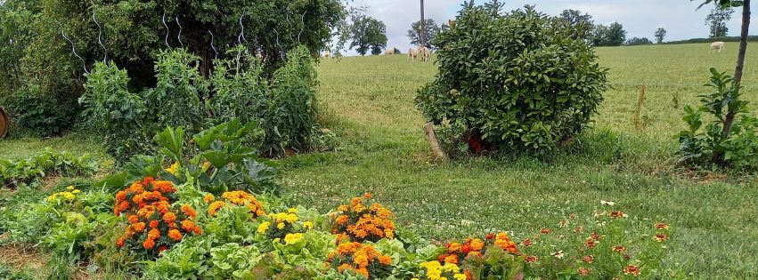Le jardin d'Alter Eden, ici les idées prennent racine