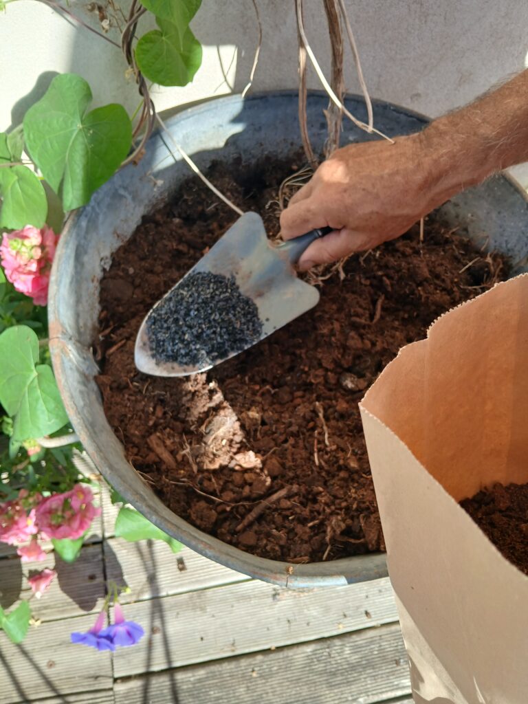 introduction de Biochar