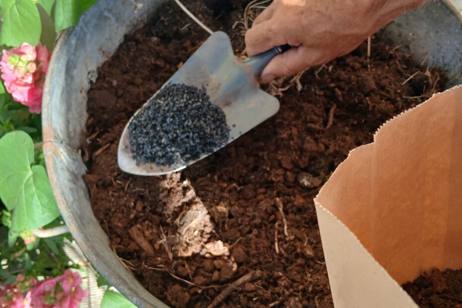introduction de Biochar